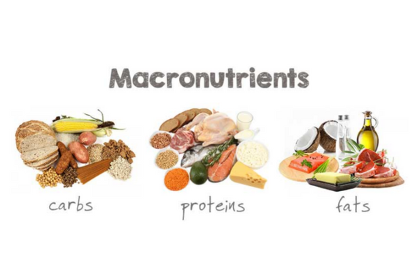 Understanding Your Macronutrients