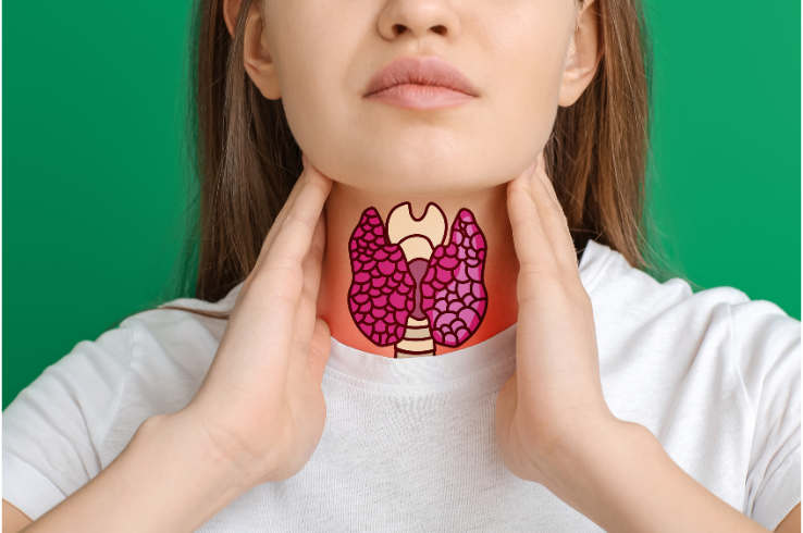 your thyroid and weight loss
