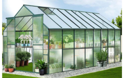 Growing Your Own Vegetables In a Greenhouse